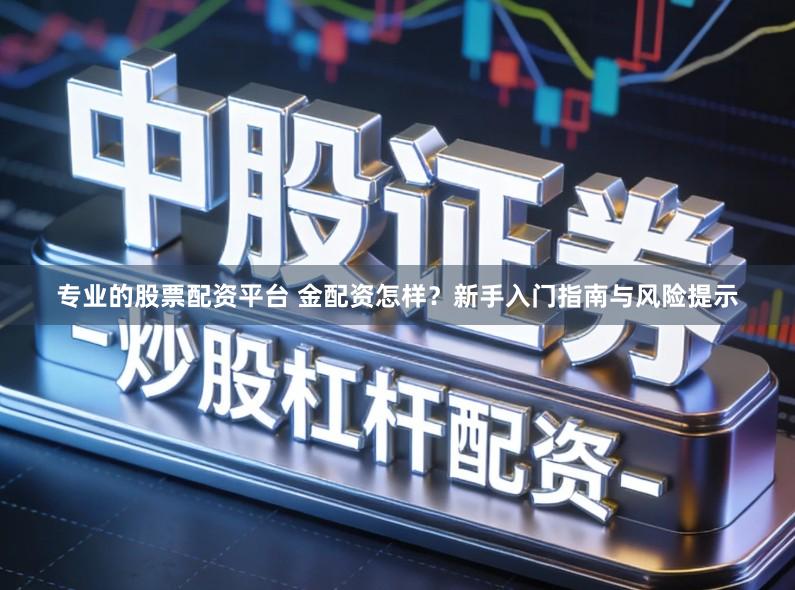 专业的股票配资平台 金配资怎样？新手入门指南与风险提示