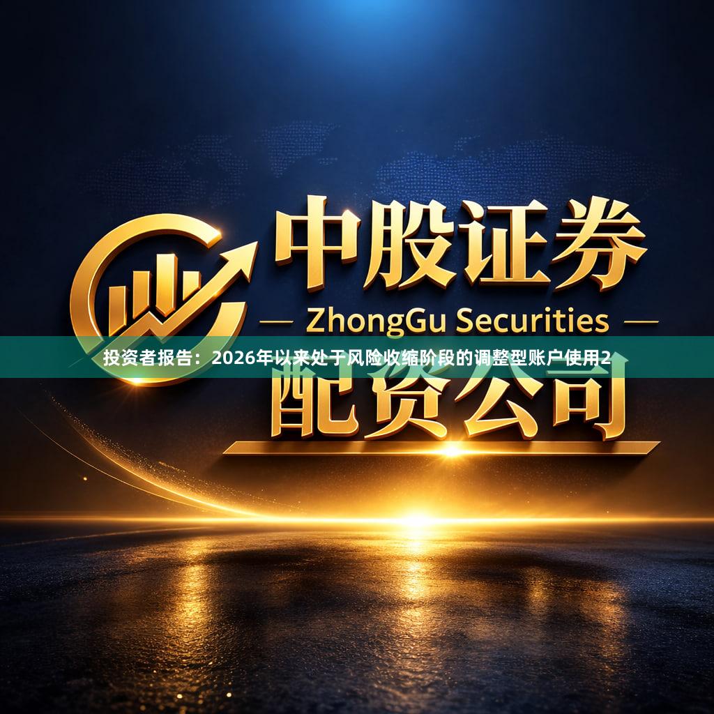 投资者报告：2026年以来处于风险收缩阶段的调整型账户使用2