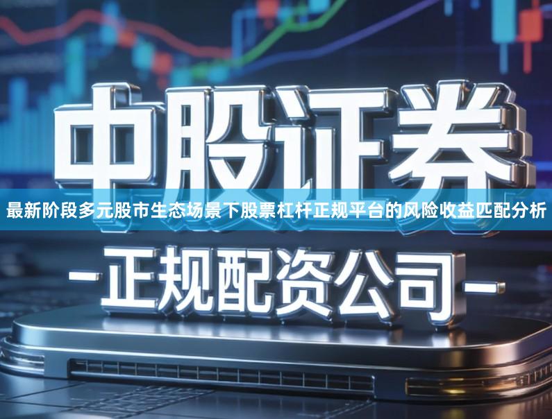 最新阶段多元股市生态场景下股票杠杆正规平台的风险收益匹配分析