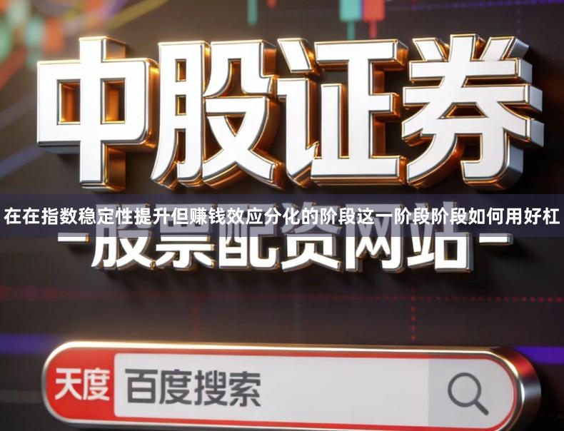 在在指数稳定性提升但赚钱效应分化的阶段这一阶段阶段如何用好杠