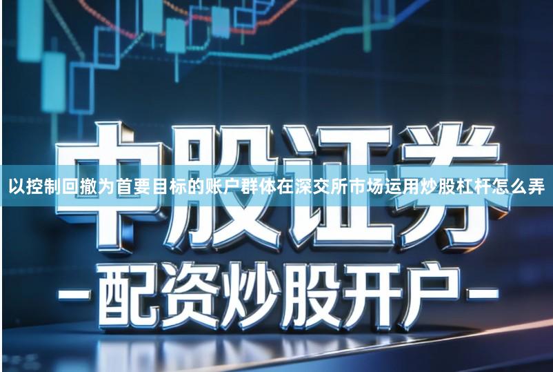 以控制回撤为首要目标的账户群体在深交所市场运用炒股杠杆怎么弄